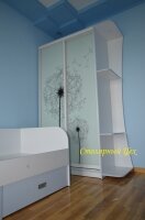 шкаф-купе 2320х1500х600. из Австрийского лдсп 18мм. цвет белый. фасады фотопечать одуванчики