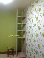 Шкаф-купе отдельно стоящий размеры: 2800*2470*650, ЛДСП Ясень Шимо, фасады дверей зеркало+ рисунок